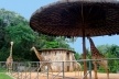 Recinto das girafas [Foto Glória Jafet / Zôo SP]