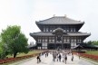 Alexandrina Mori em Todai-Ji, Nara, Japão, 2008<br />Foto Victor Hugo Mori 