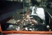 Abrigo/Manifesto para Moradores de Rua destruído e jogado na caçamba<br />Imagem do autor do projeto 