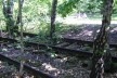 Südgelände Natur-Park, Berlim, Alemanha. Arquiteto Peter Latz<br />Foto Paloma P. de Siqueira, 08/05/11 