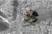 Ubiquação do terreno<br />Imagem dos autores do projeto 