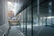 Museu de Arte Mizuta, galeria do subsolo revela o jardim exterior e as cerejeiras, Josai International University, Sakado, Japão, 2008-2011, Studio Sumo<br />Foto Koichi Torimura  [Studio Sumo]