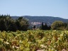 Ramatuelle<br />Foto Marcio Cotrim 