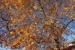 Núcleo de Mitra, Univ. de Évora<br />Foto Junancy Wanderley 