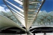 Estação do Oriente em Lisboa, de Santiago Calatrava: bosque de concreto e aço tomando posse do lugar<br />Foto Tarcísio Bahia 