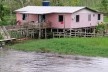 Margem do Rio Amazonas<br />Foto Eduardo Oliveira Soares, julho 2019 