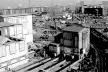 Translocação: tecnologia de última geração