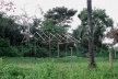 Fordlandia, exemplo de destruição e construção<br />Foto Carlos Teixeira 