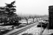 Paisagem gelada, Vevey, Suíça<br />Foto Roberto Abramovich 