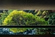 Sede Natura São Paulo – NASP, São Paulo, 2017. Arquitetos Lilian Dal Pian e Renato Dal Pian<br />Foto Nelson Kon 