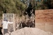Vivienda T, Tarija, Bolivia, 2020. Arquitecto Mechthild Kaiser; colaborador Mauricio Méndez / Estudio de arquitectura y Planificación Kaiser<br />Foto Mauricio Mendez Arevalo 