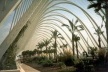 Cidade das Artes e das Ciências, Valência. Santiago Calatrava<br />Foto Daniel Ferreira Augusto 