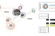 Figura 6 - Diagrama de Renda individual e média dos catadores de papel entrevistados