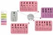 Figura 8 - Complexo da lagoinha: Diagrama Social (sexo, renda, escolaridade e outras informações de pessoas que trabalham ou vivem sob viadutos)