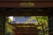 Portal, Santuário Nezu<br />Foto Tom Boechat/Usina de Imagem 