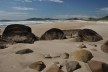 Praia do Siriú, Garopaba SC<br />Foto José Tabacow 