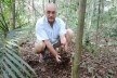 A Serapilheira. Um colchão de restos vegetais no chão das florestas e bosques florestados. Enriquece e torna o solo mais fofo e permeável. Ela própria absorve grande parte das águas de chuva<br />Foto divulgação 