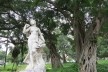 Campo de Santana, Rio de Janeiro, dez 2015<br />Foto Marta Enokibara 