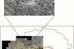 Figura 9. Lote unifamiliar no limite da cota altimétrica de 100m no maciço da Pedra Branca, bairro Vargem Pequena