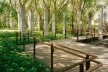 Parque da Juventude, São Paulo, 2003-2005. Paisagismo de Rosa Kliass<br />Foto Nelson Kon 