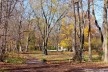 Vista de aproximação à Farnsworth House<br />Foto Sarah Suassuna 
