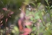 Mostra "Ao vento"<br />Foto Adriana Rosset 
