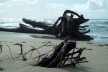 Praia da Joaquina, Florianópolis, março de 2011<br />Foto Adson Cristiano Bozzi Ramatis Lima 