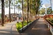Parque Sabesp Cangaíba. Levisky arquitetos estratégia urbana<br />Foto Ana Mello 