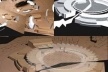 Intervenções sobre fotos da maquete<br />Imagem dos autores do projeto 