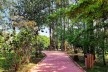 Readequação do Parque Municipal Raul Seixas, São Paulo SP Brasil, 2019. Secretaria do Verde e Meio Ambiente – Departamento de Implantação, Projetos e Obras/ Secretaria Municipal da Pessoa com Deficiência<br />Foto Leon Rodrigues  [Secom]