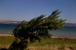 Paisagem do estreito de Dardanelos<br />Foto Maria Cristina Wolff de Carvalho 