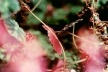 Mostra "Ao vento"<br />Foto Adriana Rosset 