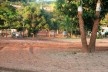 Fundos das casas atingidas pela lama; percebe-se até onde esta chegou pela marca no tronco da árvore<br />Foto Camilla Magalhães Carneiro 