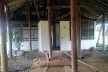 Centro de Proteção Ambiental em Balbina, situação atual<br />Foto Hugo Segawa 
