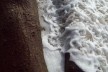 Praia da Joaquina, Florianópolis, março de 2011<br />Foto Gisela Barcellos de Souza 