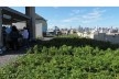 Vista da fazenda Brooklyn Grange em um teto no bairro do Queens, em Nova York: outubro passado emum sábado de manhã. A feira está no lado esquerdo e a vista de Manhattan ao fundo. <br />Foto Cecilia Herzog 