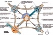 Plano de intenções<br />Imagem do autor do projeto 
