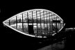 Explorando o efeito noturno, a fotografia realça a forma insólita do Mata-borrão [Acervo João Alberto Fonseca da Silva/ UniRitter]