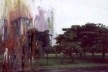 <br />Foto Polaroid de Carlos Moreira Teixeira 