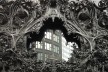 Louis Sullivan Carson Pirie & Scott, detalhe, Chicago, 1902-1904<br />Foto Fernando Diniz Moreira 