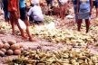 Frutas e verduras na Feira da Prata<br />Foto Mariana Dias Vieira 