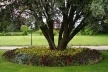 Jardim da Hacienda Torremilanos<br />Foto Breno Raigorodsky 