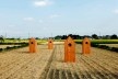 Saitama site<br />Photo Wakabayashi Hayato  [Atelier Ichiku]