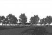 Museu de Arte Kimbell, vista externa, Fort Worth, Texas, EUA, 1972. Arquiteto Louis I. Kahn<br />Modelo tridimensional Miguel Bernardi / Imagem Edson Mahfuz 