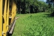 Bertioga, bonde a caminho da Vila de Itatinga<br />Foto Denise Fernandes Geribello, mar. 2003 