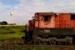 Locomotiva em funcionamento em área central, Araraquara<br />Foto Abilio Guerra 