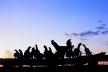 Ceará. Gailinhas caipiras no poleiro noturno<br />Foto José Albano 