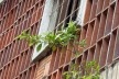 Conjunto Residencial Prefeito Mendes de Moraes ou Pedregulho – RJ. Projeto de Affonso Eduardo Reidy, 1947<br />Foto Cecilia Rodrigues dos Santos, janeiro 2010 