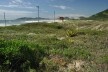 Praia do Siriú, Garopaba SC<br />Foto José Tabacow 