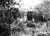 Ruins of the Engenho dos Erasmos, as they met in 1950 [SANTOS, Francisco Martins dos; LICHTI, Fernando Martins de. Op. cit.]